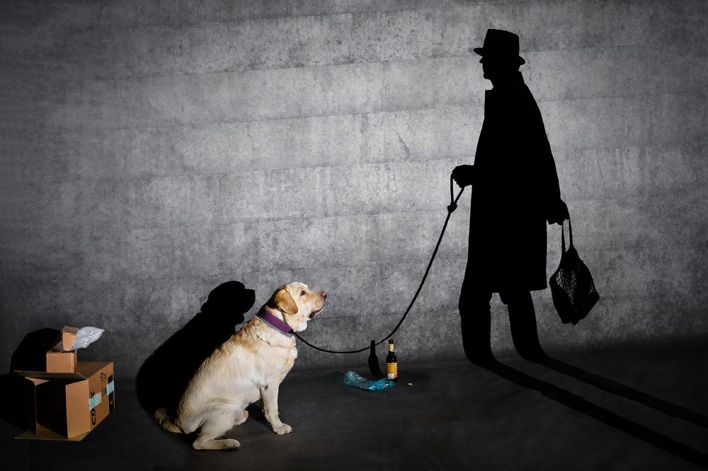 Photograph by Владимир Лиепин