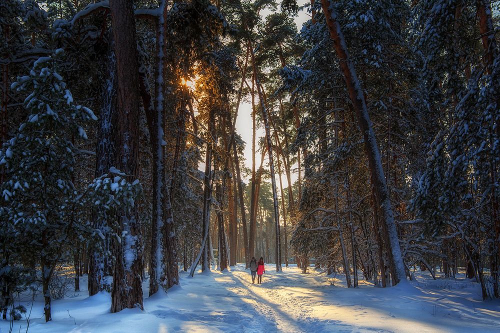 Фотография автора Алексей Карташов