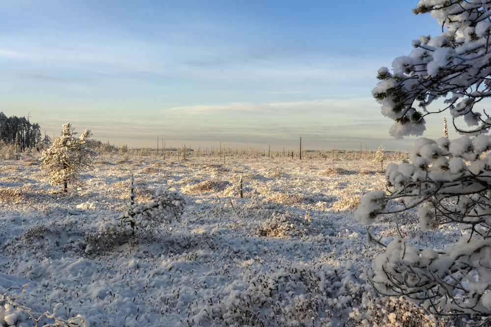 Photograph by Олег Малетин