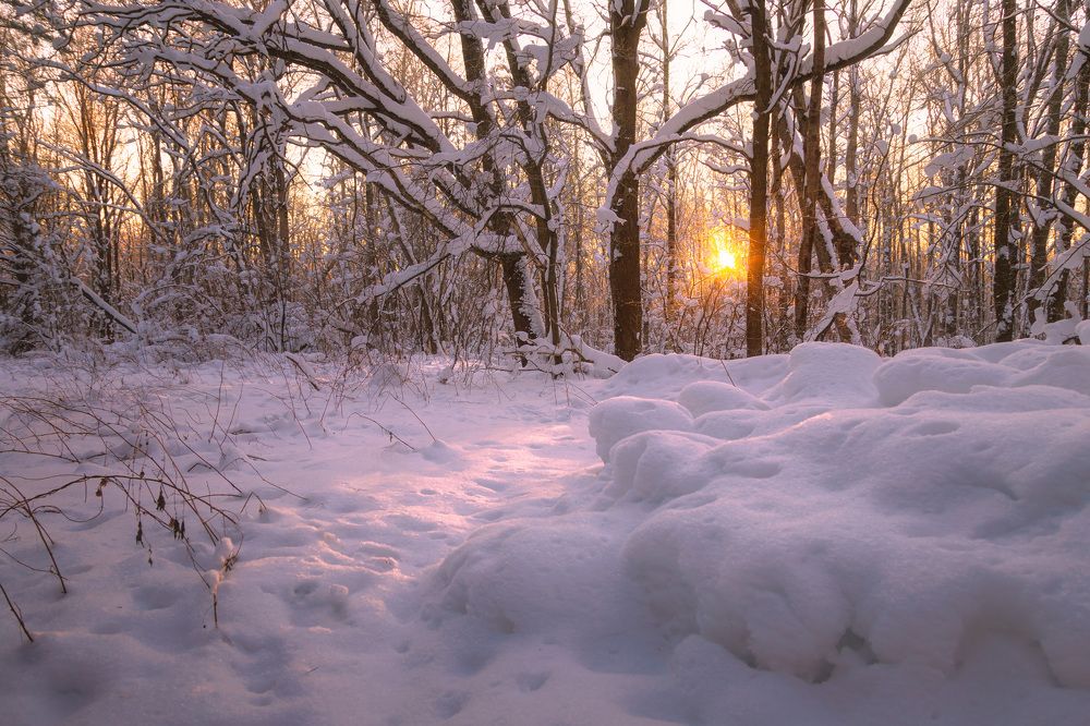Photograph by Владимир Карпов