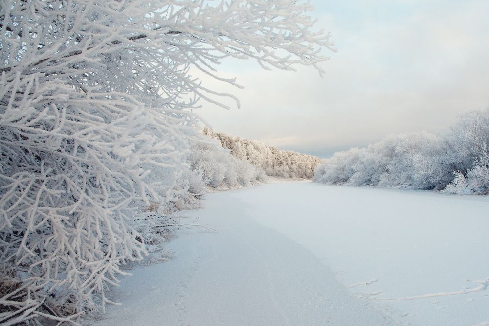 Photograph by Олег Малетин