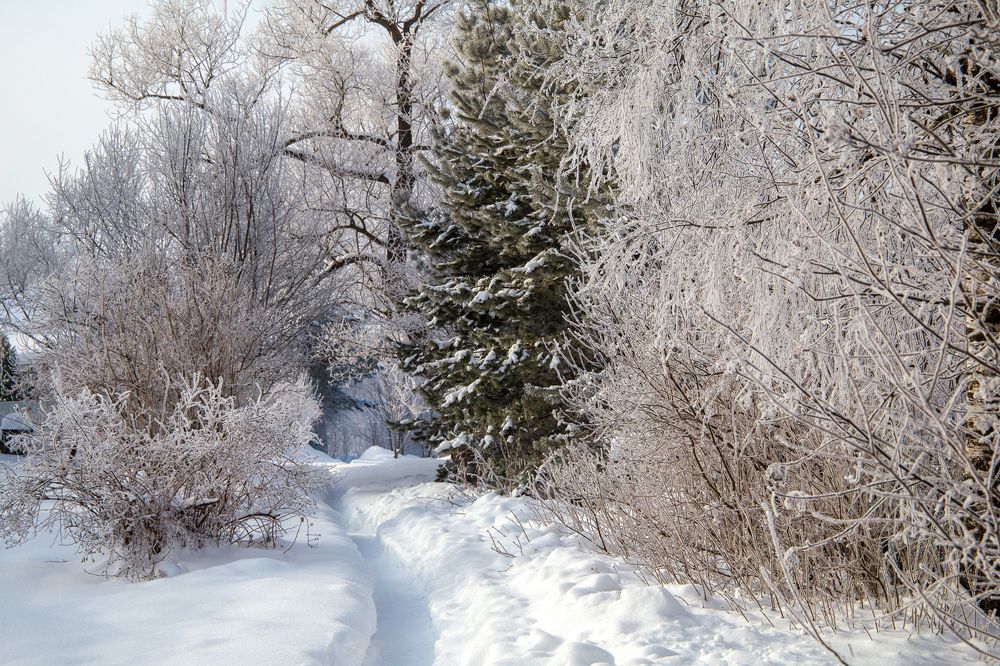 Фотография автора Алексей Карташов