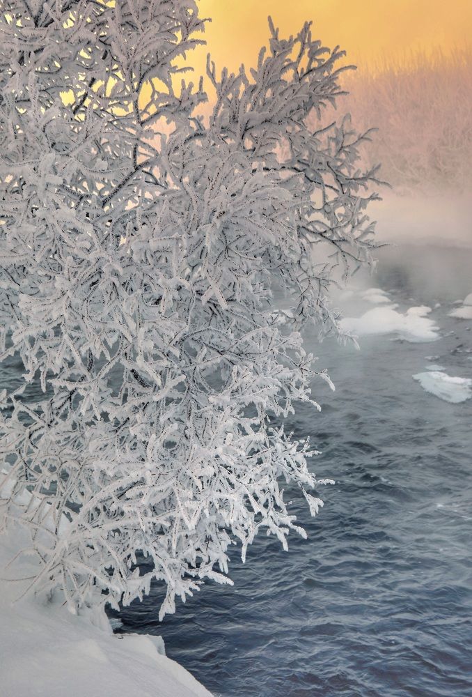 Зимний наряд