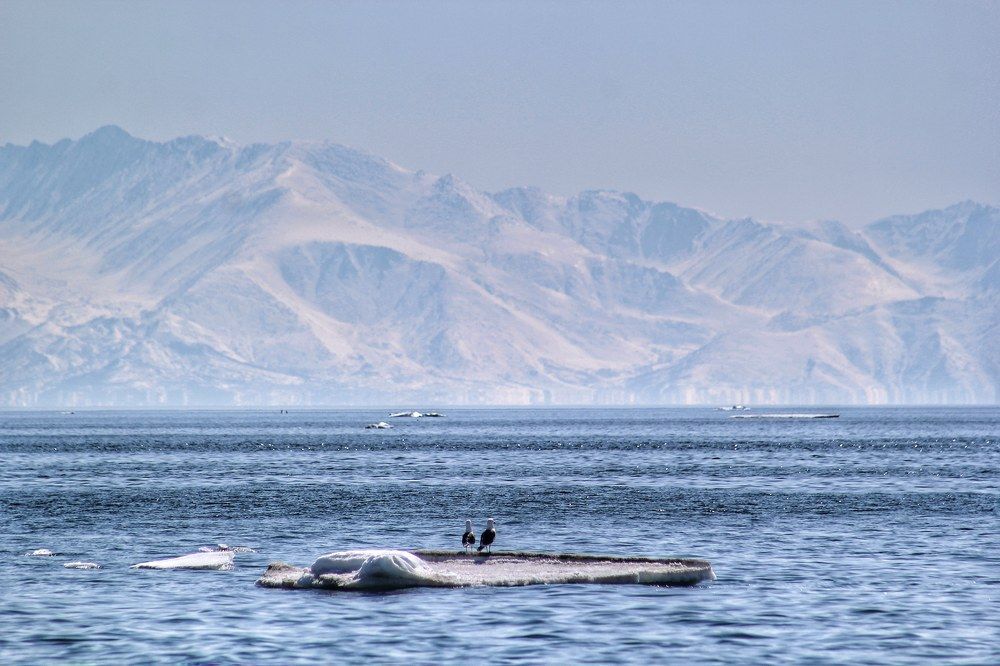 Photograph by Людмила