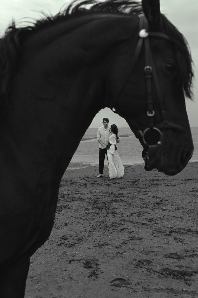 Photograph by Анастасия Носуленко