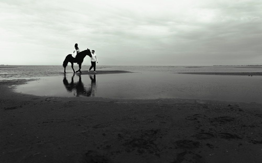 Photograph by Анастасия Носуленко