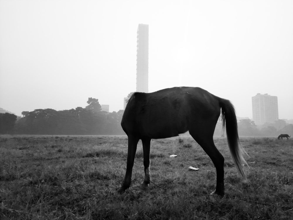 Photograph by Jit Chakraborty