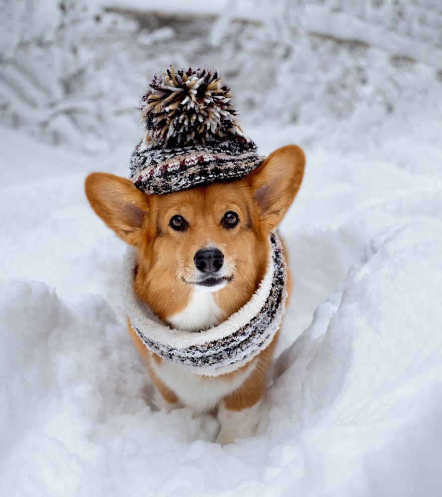 Photograph by Валерия Дурнева