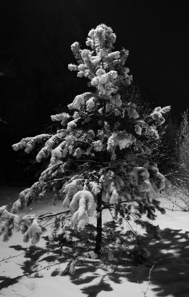 Photograph by Константин Искучеков