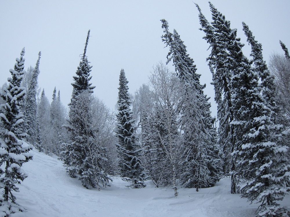 Photo #10056210