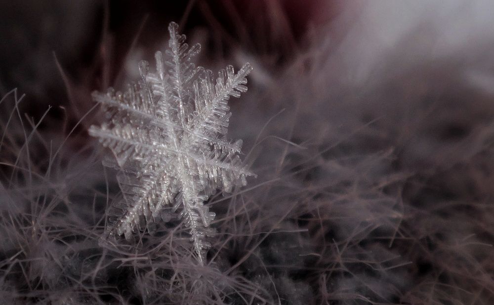 Photograph by Елена Силантьева