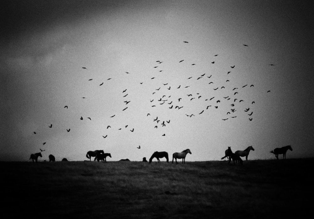 Photograph by Николов Андриян