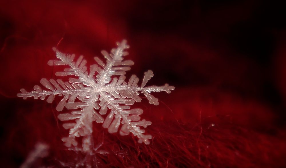 Photograph by Елена Силантьева