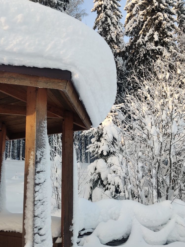 Photograph by Ирина Михайлова