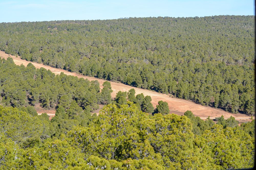 Photograph by Bachir Rabouh