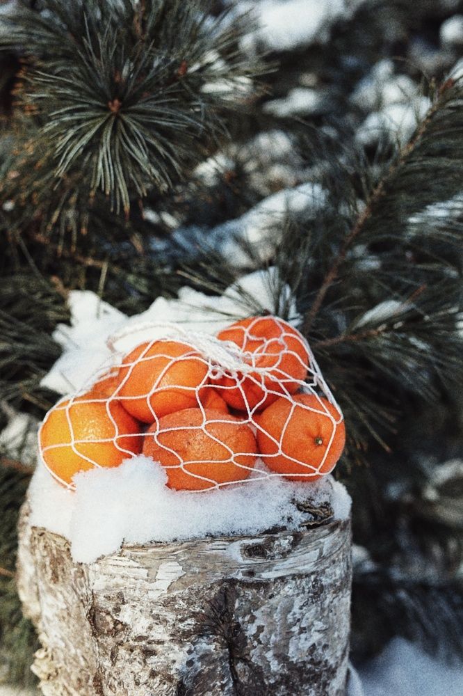 Photograph by Жестовская Евгения