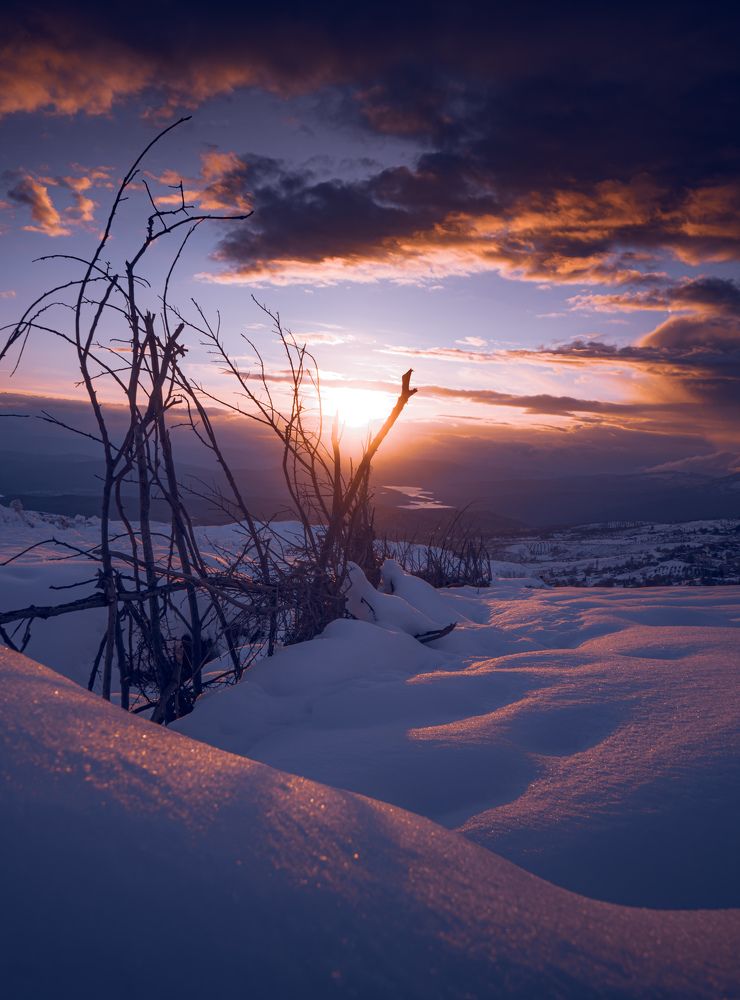 Photograph by Samir Meftah