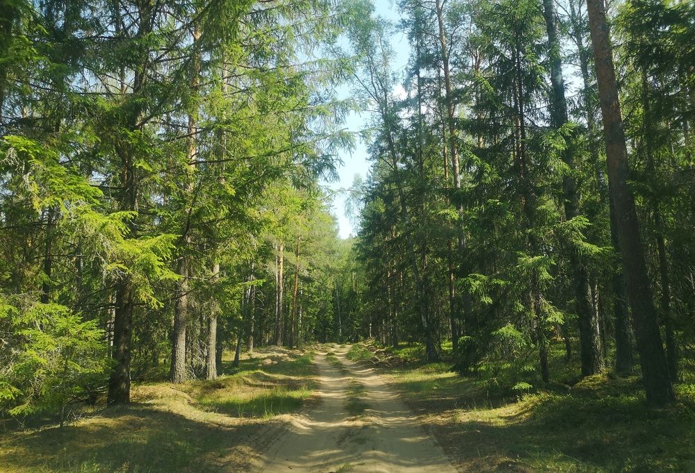 Photograph by Екатерина Борисовна Кузьмина