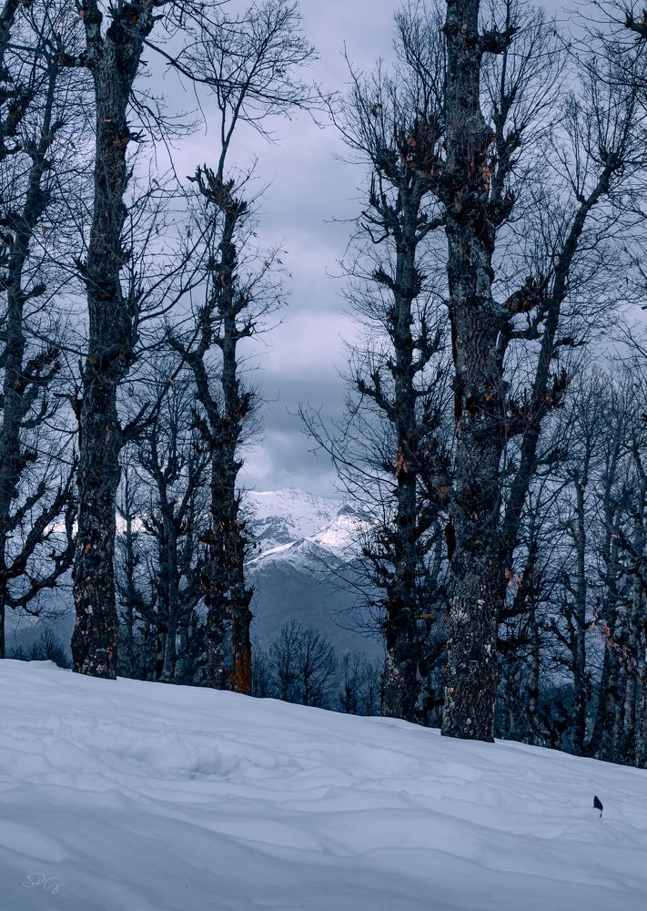 Photograph by Samir Meftah