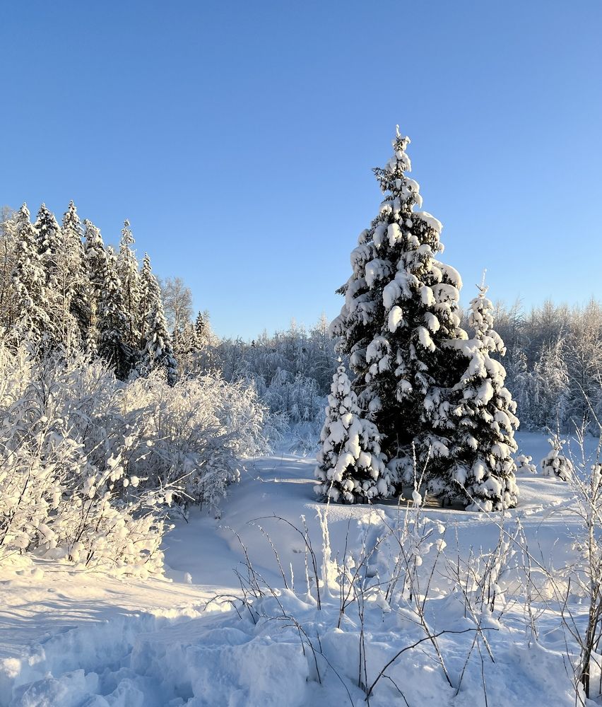 Photograph by Елена Павлова