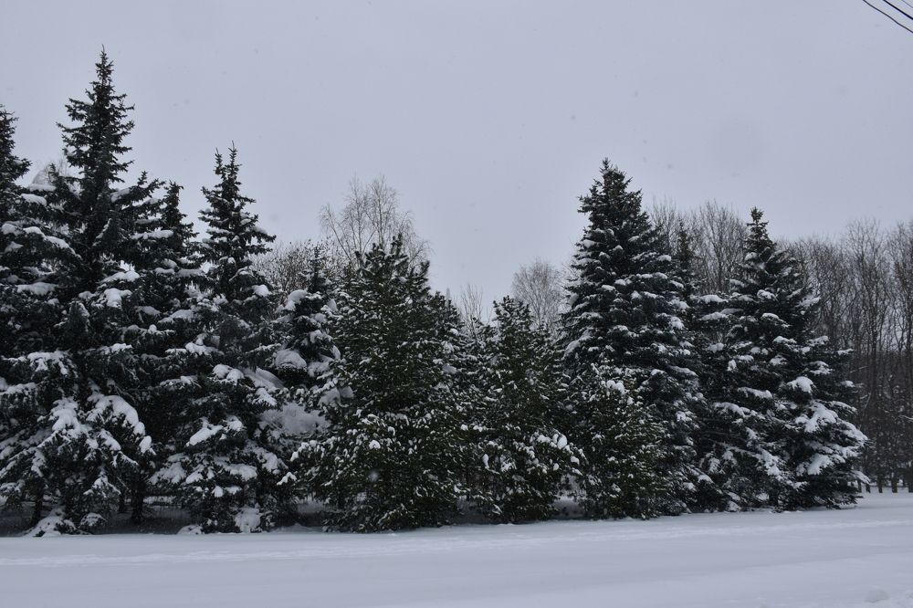 Photograph by Смирнов Сергей