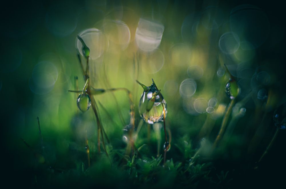 После дождя