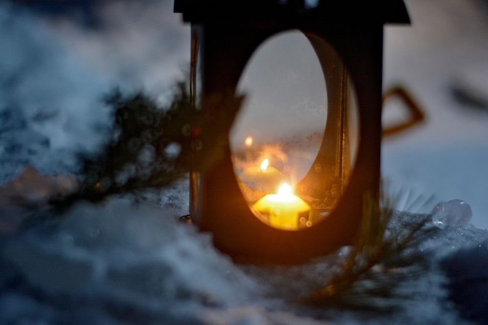 Фотография автора Mila Oreshkina