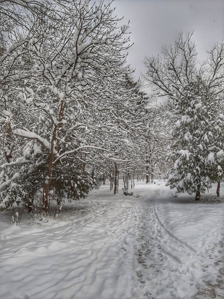 Photograph by Юлия Коробкова