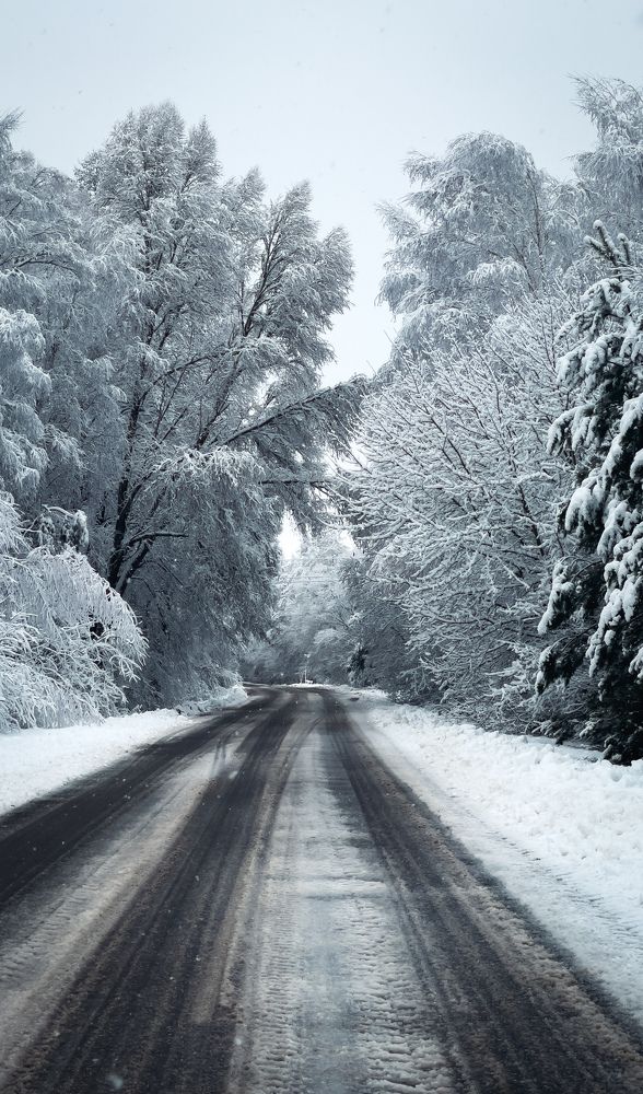 Фотография автора Геннадий Ломеко