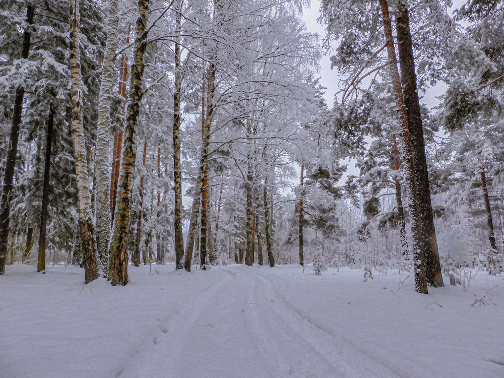 Photograph by Игорь Смирнов