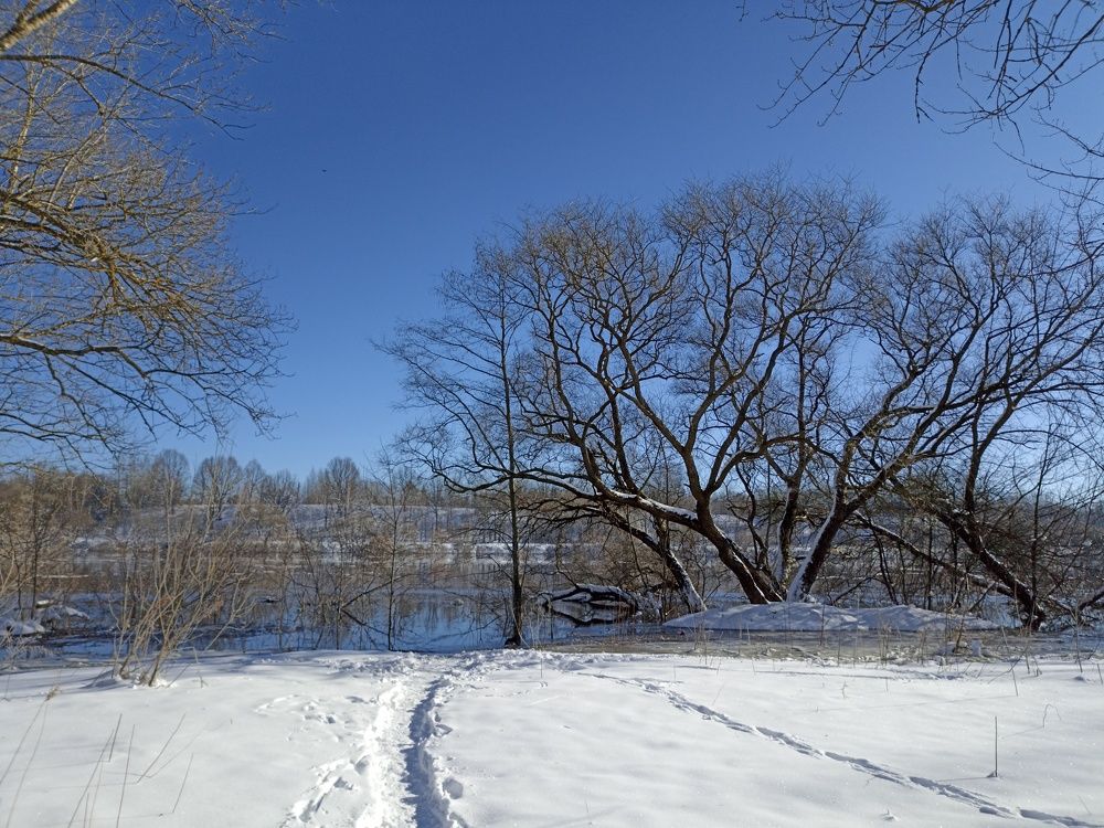 Photograph by Юлия