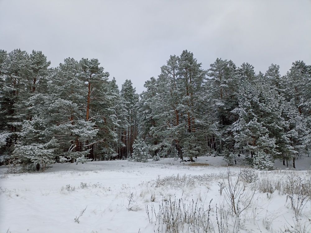 Photograph by Юлия