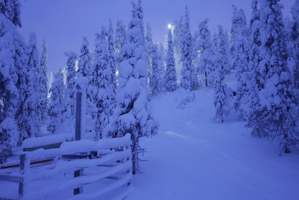 Photograph by Юрий Сычев