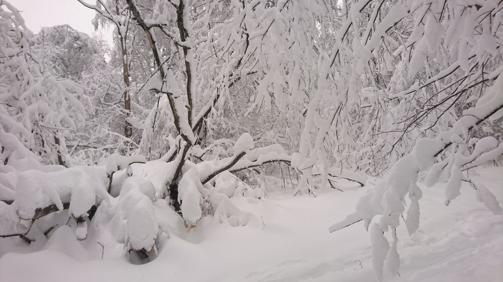 Photograph by Юрий Сычев