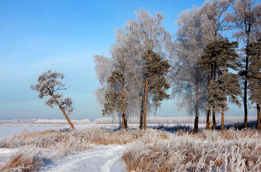 Фотография автора Nelya  Lysenko