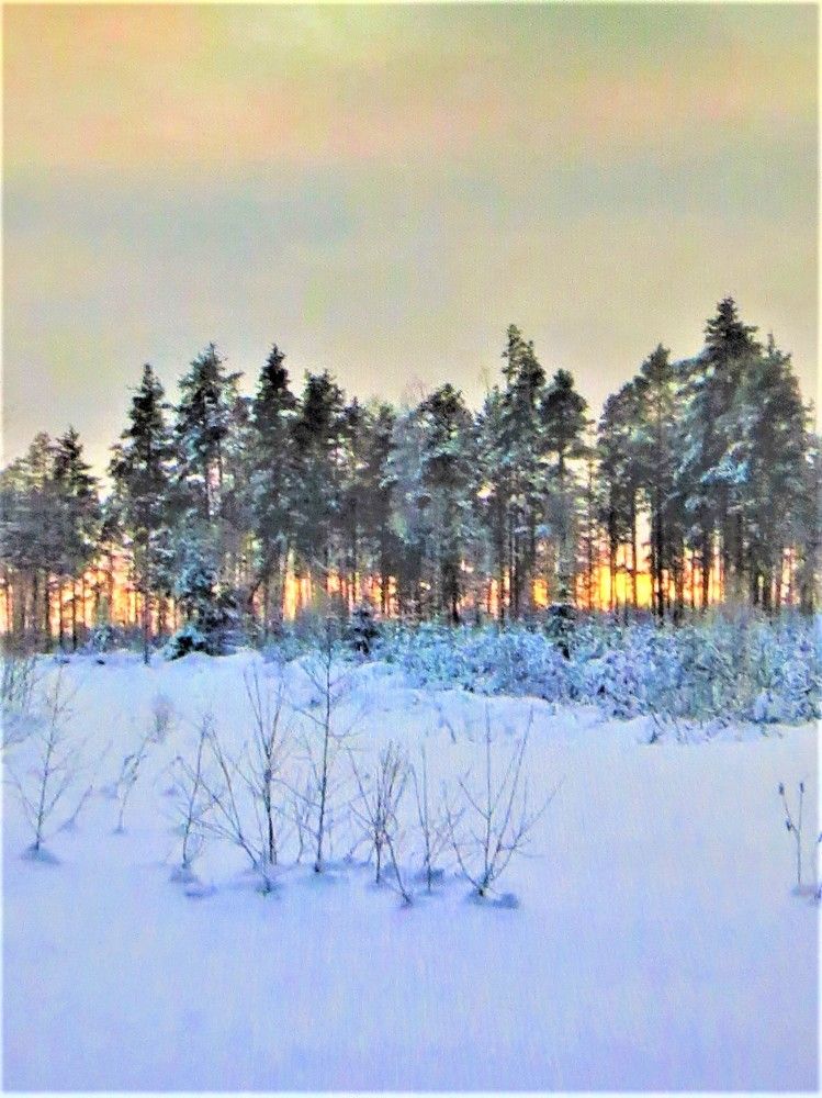 Photograph by Галина