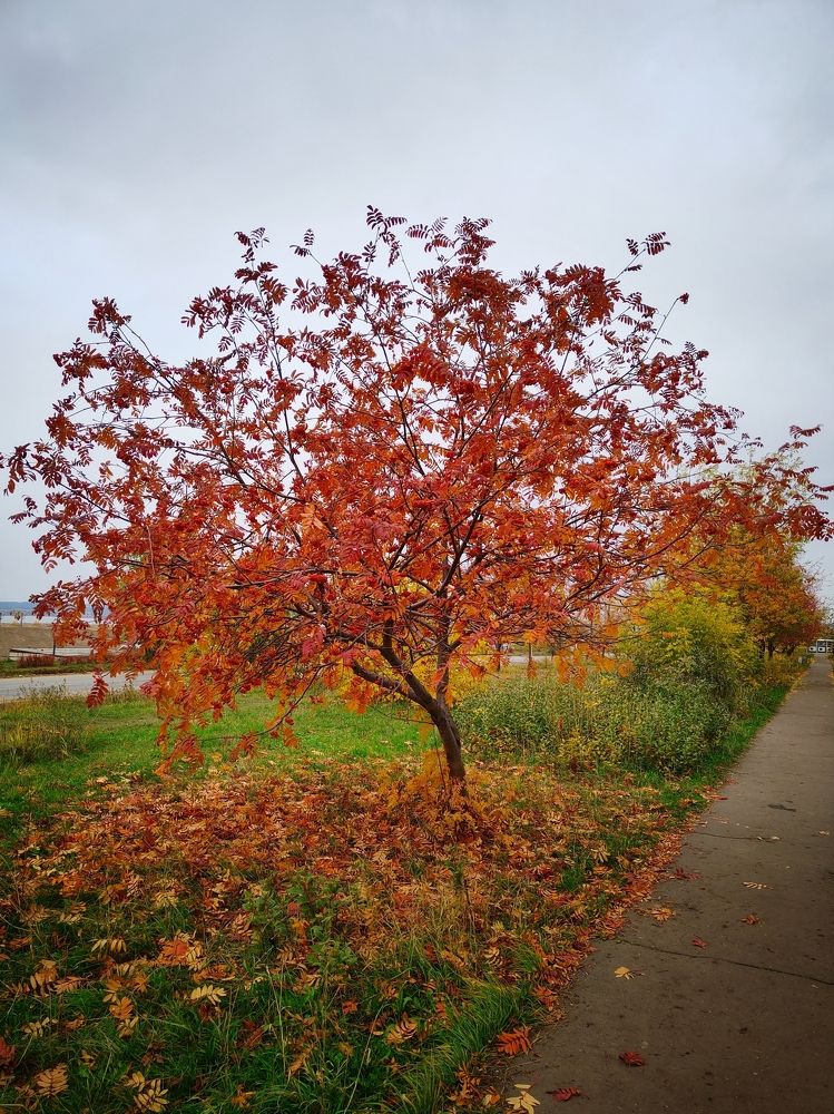 Photograph by Олега Тор