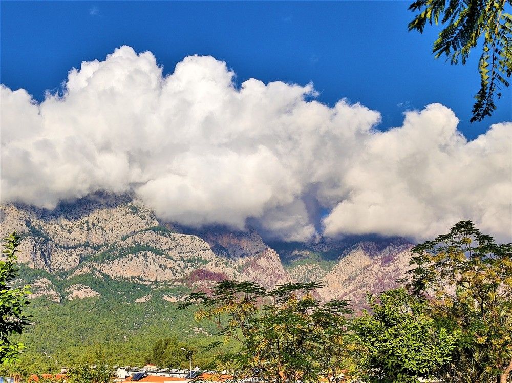 Photograph by Галина