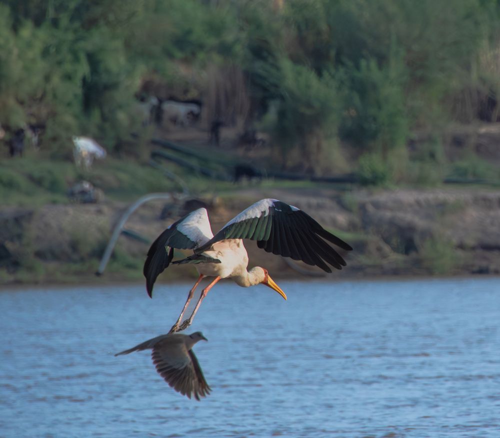 Photograph by MONTASER MOTWAKIL