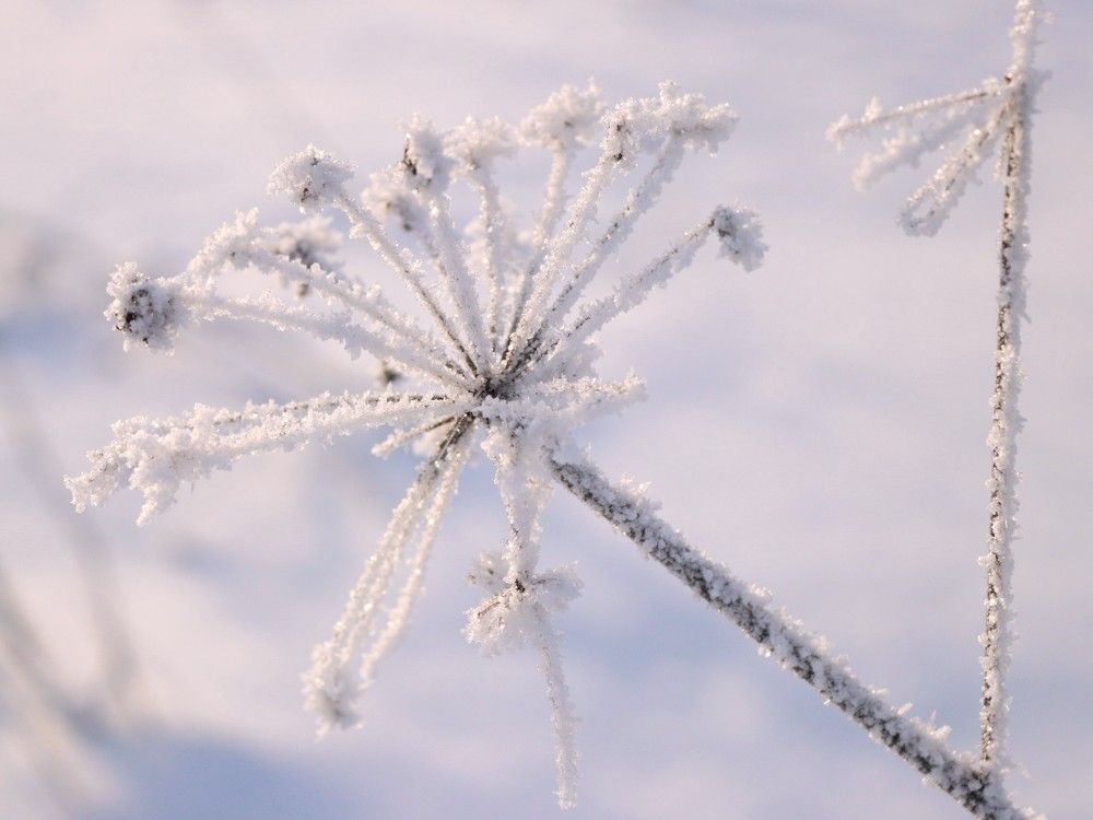 Photograph by Ирина Садовникова