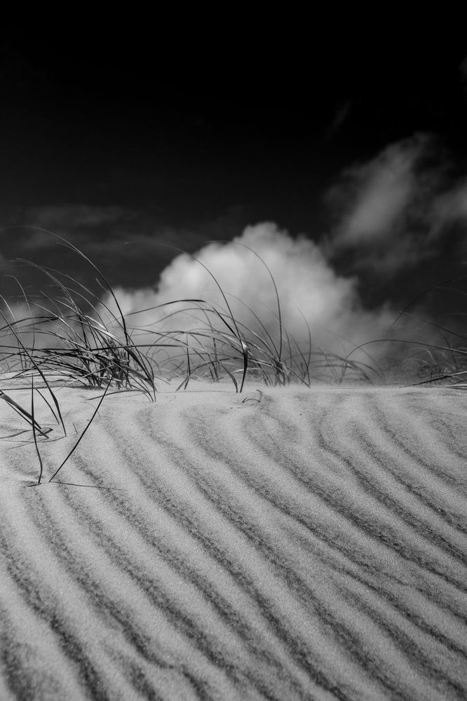 Photograph by Jorge Bagnuoli