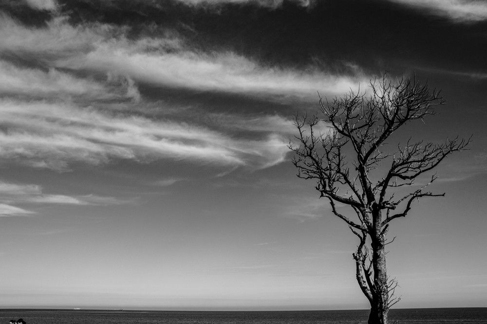 Photograph by Jorge Bagnuoli