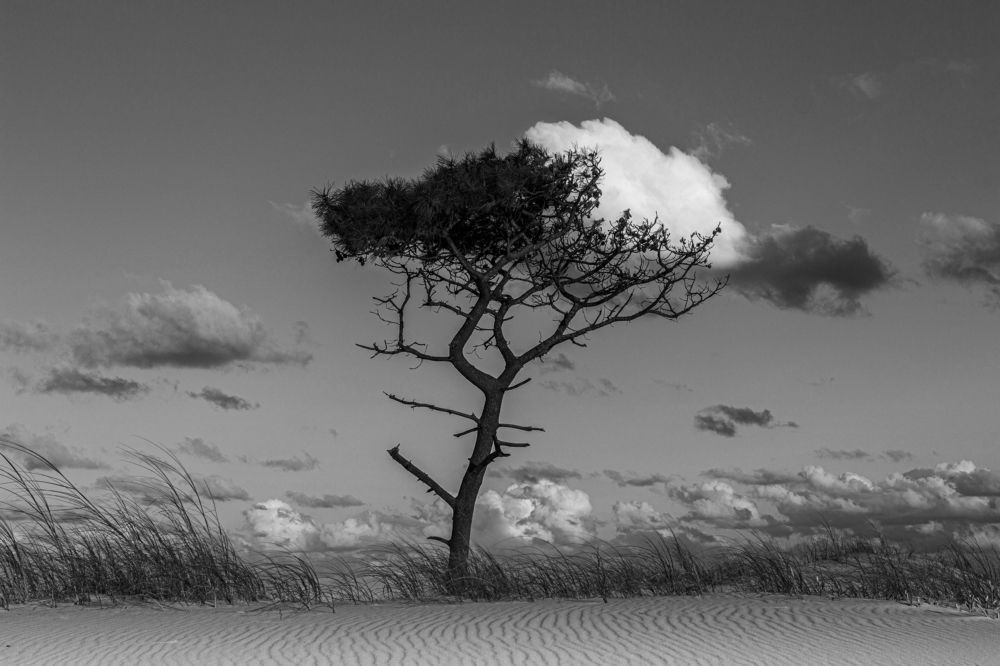 Photograph by Jorge Bagnuoli