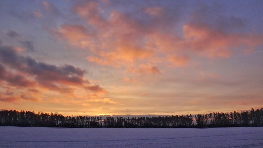 Photograph by Елена Силантьева