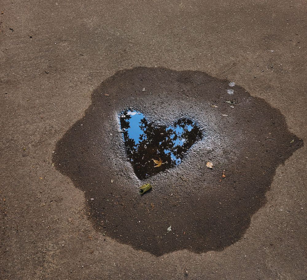 Фотография автора Ольга Дубалеко