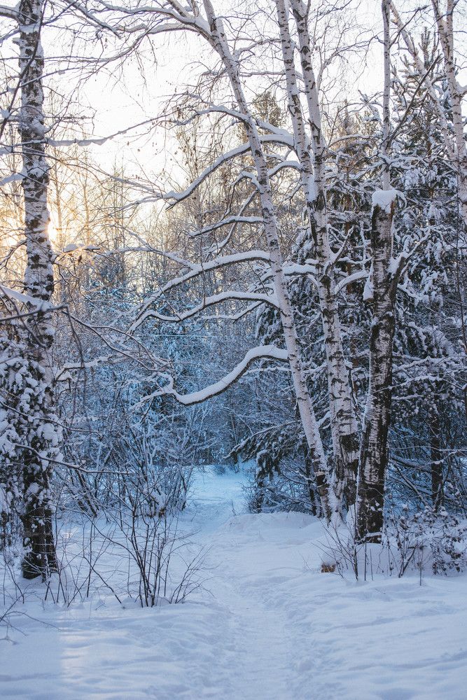 Photograph by Ирина