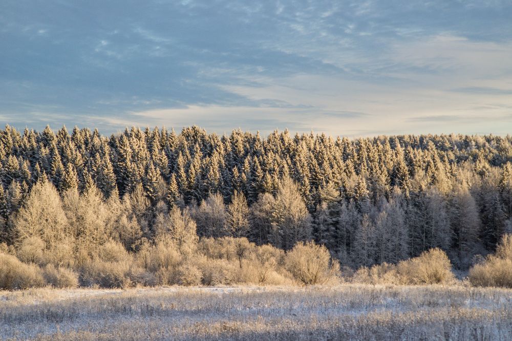 Photograph by Ирина