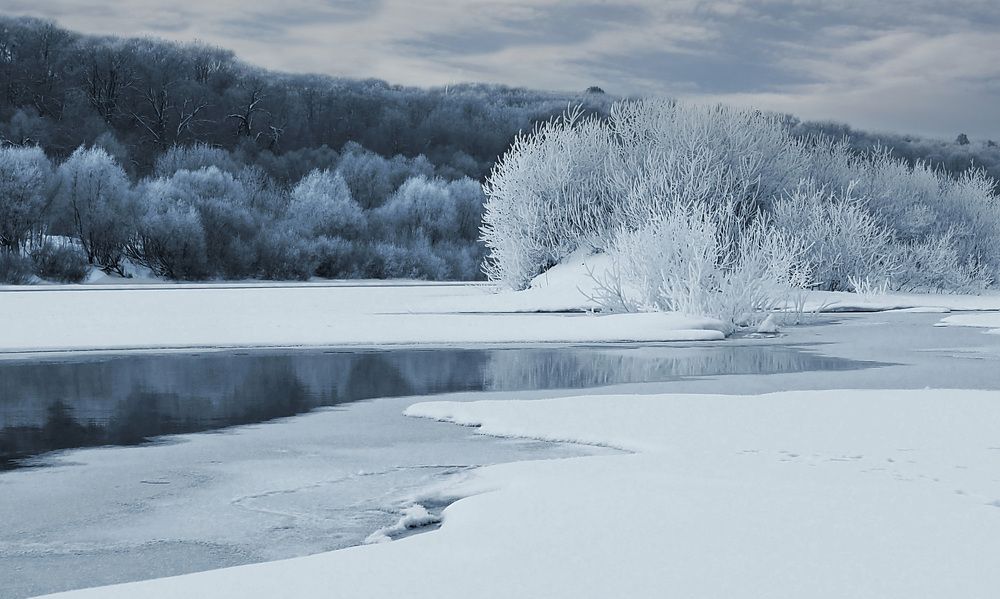 Зимний сон.