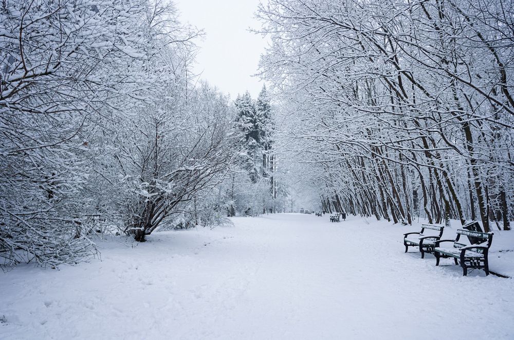 Photograph by Магомедова Айшат