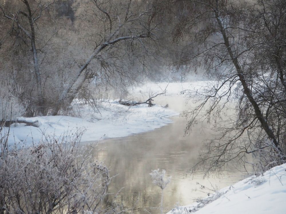 Photograph by Илюшечкина Екатерина